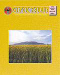No 40