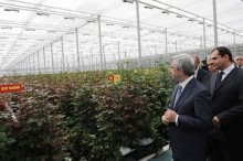 Սերժ Սարգսյանը Գողթ համայնքում ծանոթացավ վարդերի բուծման ջեմոցային տնտեսության աշխատանքներին