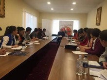 Three-day seminar on «Political challenges in Armenia. Constitutional reforms» was held by the joint initiative of RPA Youth organization and CAS foundation