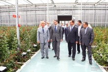 Կառավարության ղեկավարն այցելել է «Էկոտոմատո» ընկերության վարդերի աճեցման տնտեսություն
