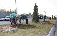 Սկսվել են մայրաքաղաքի ծաղկապատման աշնանային աշխատանքները  